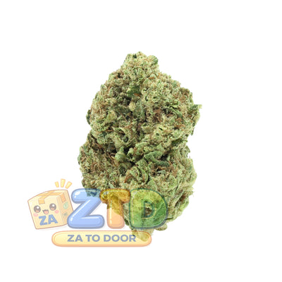 Jungle Cake