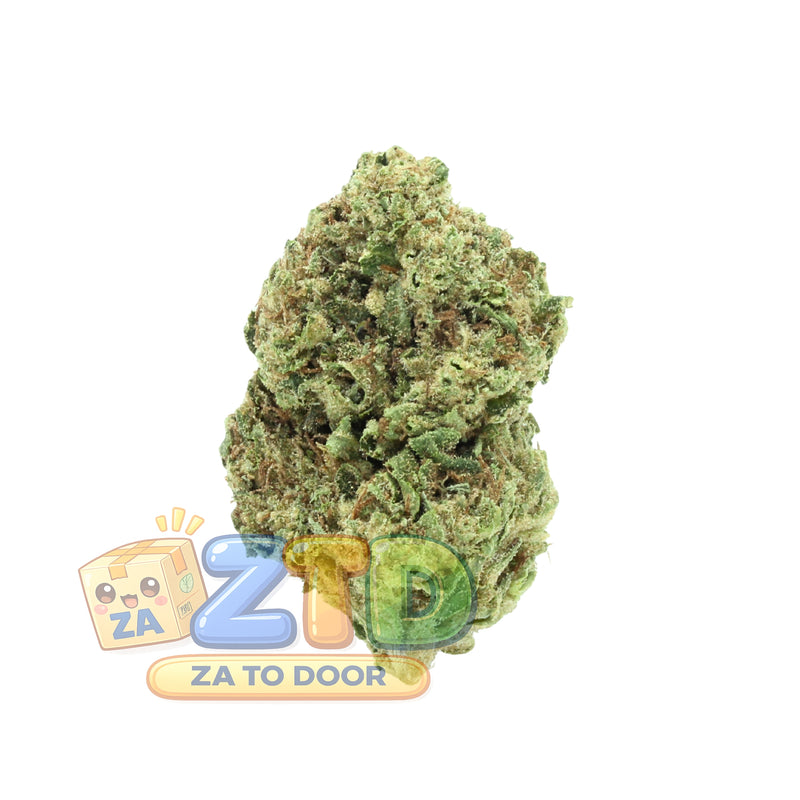Jungle Cake