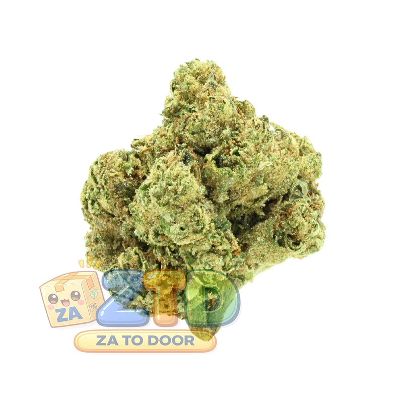 Jack Herer