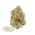 White Rhino