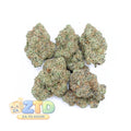White Rhino